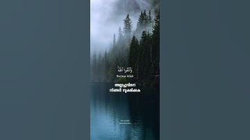سورة الحجرات ١