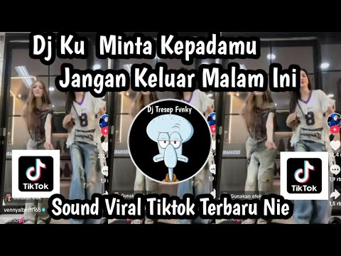 DJ KU MINTA KEPADAMU JANGAN KELUAR MALAM INI KARNA KU TAK DAPAT MENEMUI MU SOUND VIRAL TIKTOK NIE 
