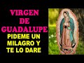 Pídeme un Milagro y te lo Daré Virgen de Guadalupe Oración Milagrosa