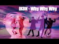 iKON - ‘왜왜왜 (Why Why Why)’ MV Reaction