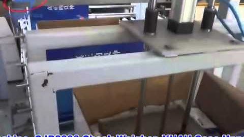 Automatic Seeds Packing & Cartoning Line - Zengran Pack