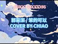 郭采潔 笨的可以 Cover By CHIAO 郭采潔 笨的可以 Cover By CHIAO