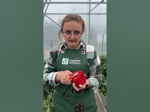 Перец Федор - YouTube