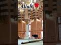 madina Shari #madina #islamicpilgrimagesiteurdu naat