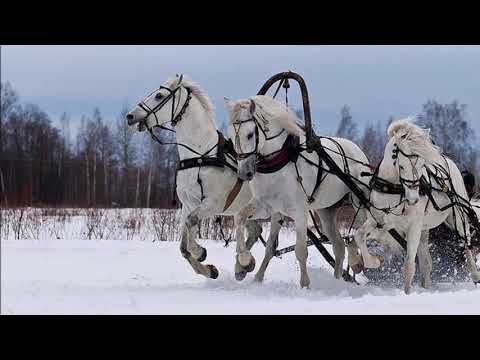 Video: Cik-caki Za Nasip