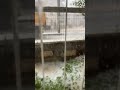 سبحان الله امطار وبرد في فصل الربيع مرسين تركيا
