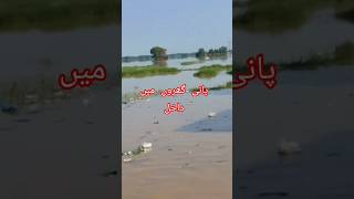 Alumahar Sialkot #sialkotflood #flood  #pakistanflood