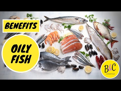 Oily Fish - He alth Benefits (Secrets for good Body He alth)