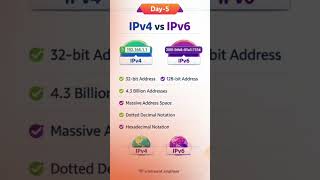 IPv4 vs IPv6 🌐