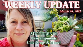 Weekly Update 3-28-21 //Awesome Succulents + Cole Crops + New Shipments!