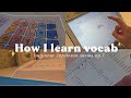 How to Learn Japanese for ABSOLUTE BEGINNERS pt.1 how to learn japanese vocab and writing systems