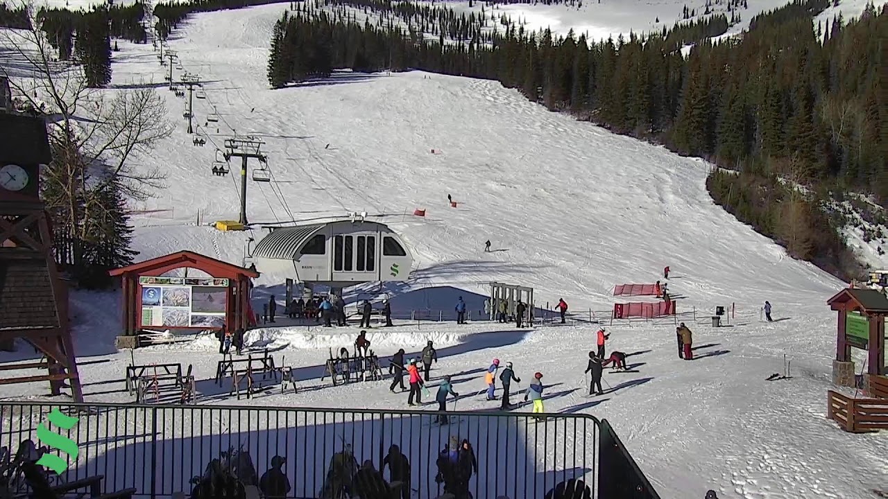 Schweitzer Webcam: The Village