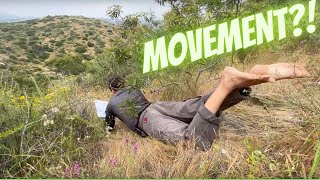 Nature Journaling and Movement: Nature Journaling Week