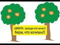 Срочно! Внимание! 5782 - Шмита - рав Даниэль Булочник