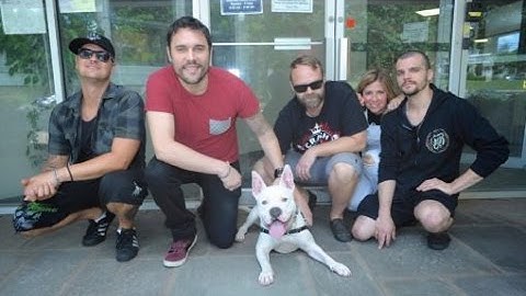 Pets Get Rocked Video Bites #18: Trapt