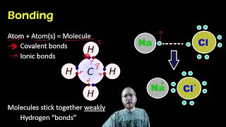 Biology:  Basic Chemistry Review