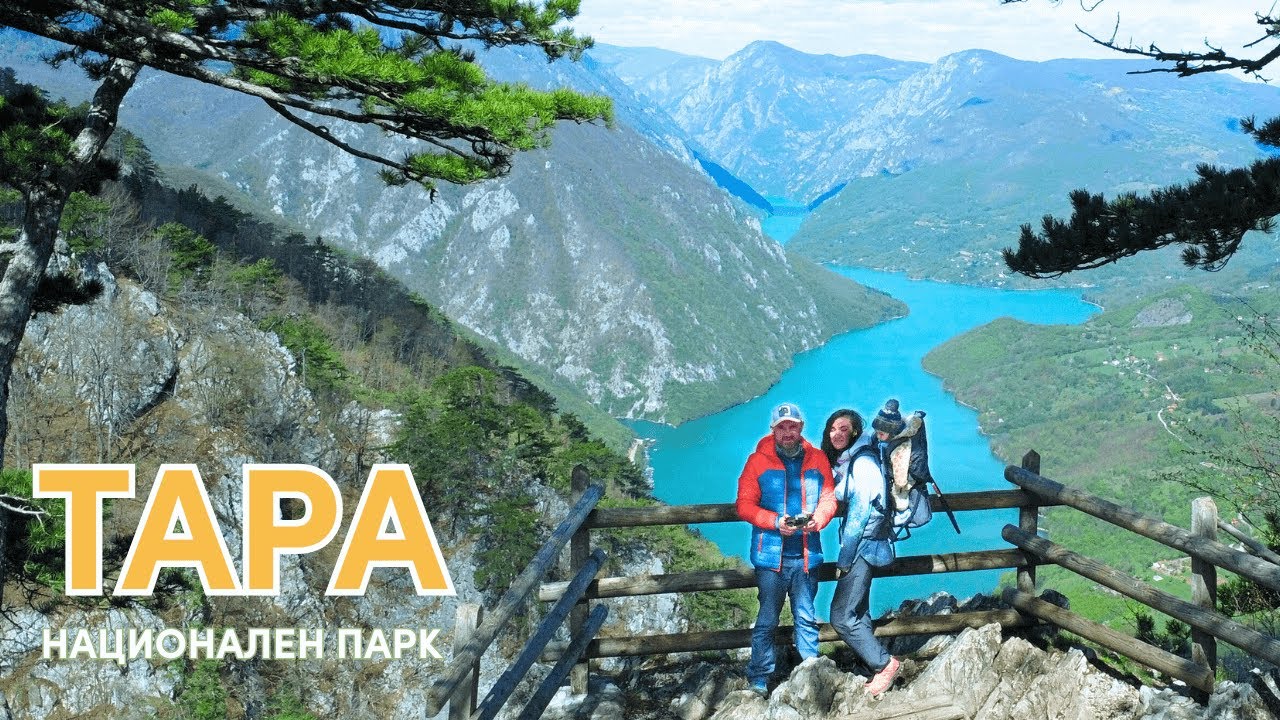 Тара - Национален Парк во 3 дена | Tara National Park, Serbia