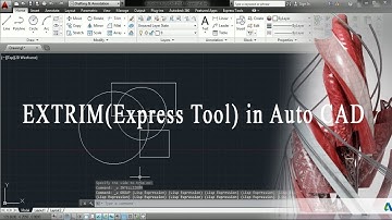 How to trim multi line in Autocad