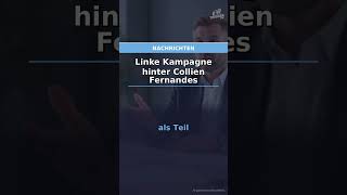 Linke Kampagne Hinter Collien Fernandes Triggerfm