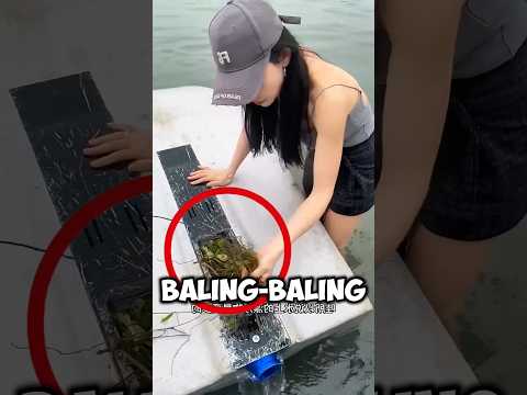 setelah membersihkan sampah,wanita ini sadar ada yang gak beres 😲