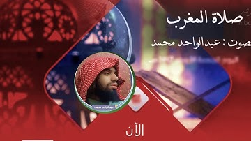 صلاة المغرب - اليوم السبت 22 صفر 1447هـ  من سورة النبأ ( تلاوة )