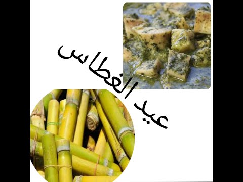 عيد الغطاس المجيد Glorious Epiphany 