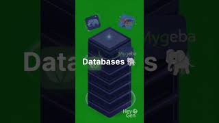 Faizan  Full Stack Developer News