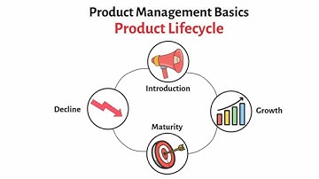 Product Management Explained #2: Understanding the Product Lifecycle