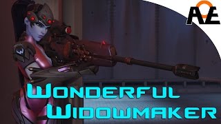 The Wonders Of Widowmaker Overwatch Beta Jangular