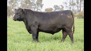 LOT 10 : EZS25W23