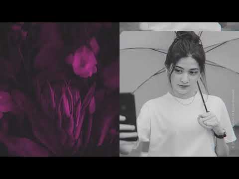 Multi Screen Opener // Dynamic Intro
