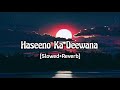 Haseeno Ka Deewana (Slowed+Reverb) | Kaabil Mp3 Song