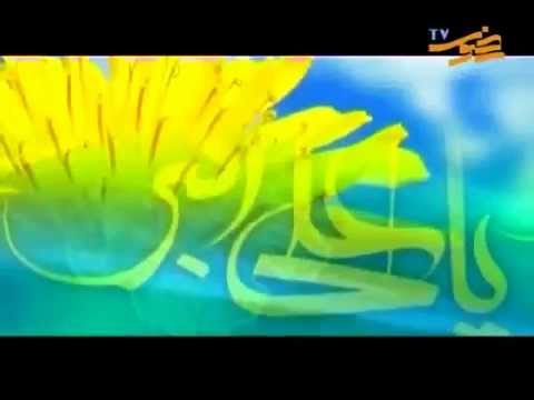 مولودی خوانی سید مهدی میرداماد به مناسبت میلاد با سعادت ولادت علی اکبر علیه السلام