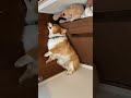 He never move