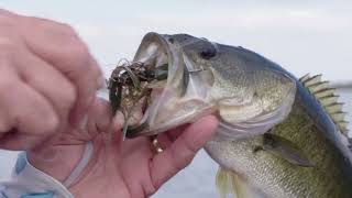 Shaw Grigsby on how he fishes the Thunder Cricket