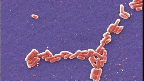 WSO Water Treatment Grade 1: Coliform Sampling 2, Ch. 3