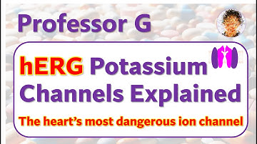 hERG channels in the heart explained