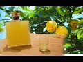 Homemade Limoncello - Italian lemon liqueur recipe