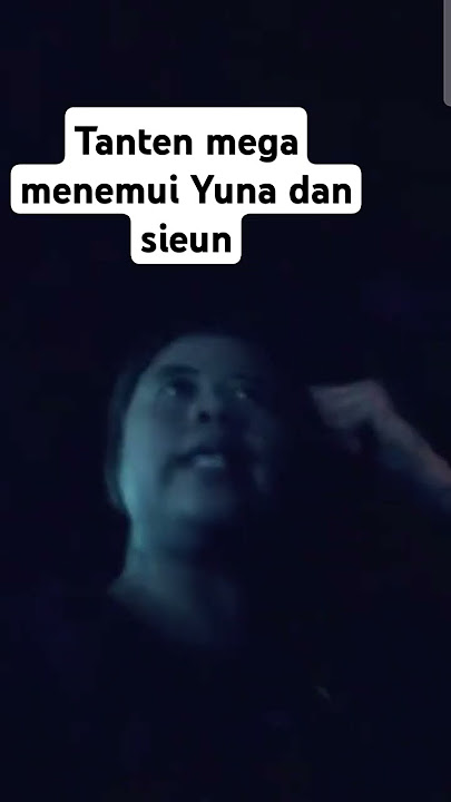 Tante Mega bersama orang Korea #volicantik #shortsviral #sieun #yuna #fans #megawatihangestri