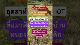 #remix #dj #edm #music #sound #funny #bamboo1 #food #thaifood #cooking