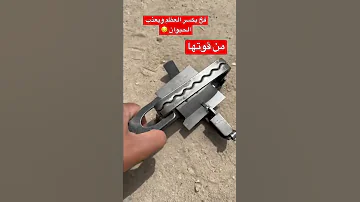 فخ للذئاب والكلاب 