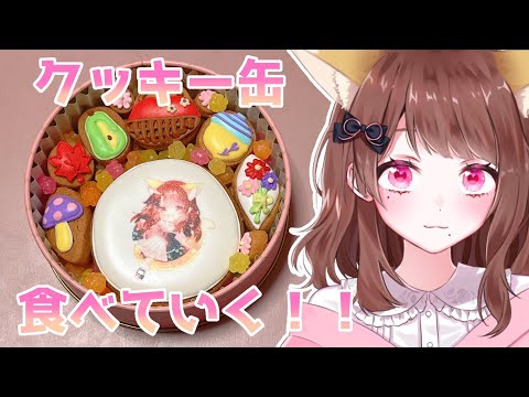 【Vtuber】いただいたクッキー缶食べていく！！【雑談】