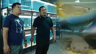 FV VLOG #103:  Monster Fish Pet Shop in Davao City