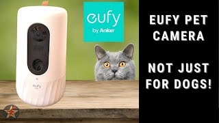 Looking For The Perfect Pet Camera? Check Out Our Eufy Pet D605 Review! screenshot 5