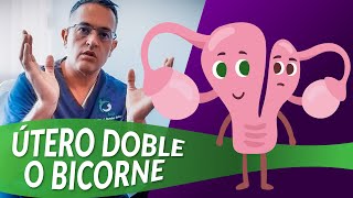 Útero doble o bicorne [Histeroscopia para FIV]