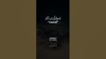 الَّذِينَ صَبَرُوا وَعَلَىٰ رَبِّهِمْ يَتَوَكَّلُونَ... سورة العنكبوت للقارئ عبد الرحمن مسعد