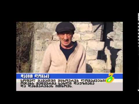 ახალგაზრდა რეპორტიორი – მეწყერისგან დაზიანებული სახლი მამათში