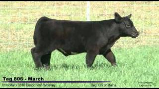 Jeff Miller 2011 Online Club Calf Sale Tag 806.flv