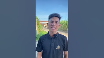 Cậu Bé Người Rừng P154 | Bố Áo Hồng Quá Mạnh Anh Tippi Sẽ Phải Làm Sao - Tippi TV  #tippitv