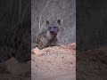 Что Будет если Исчезнет СОЛНЦЕ #shorts